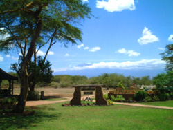 Amboseli国立公園